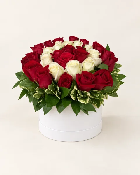 Rosas de Ensueño